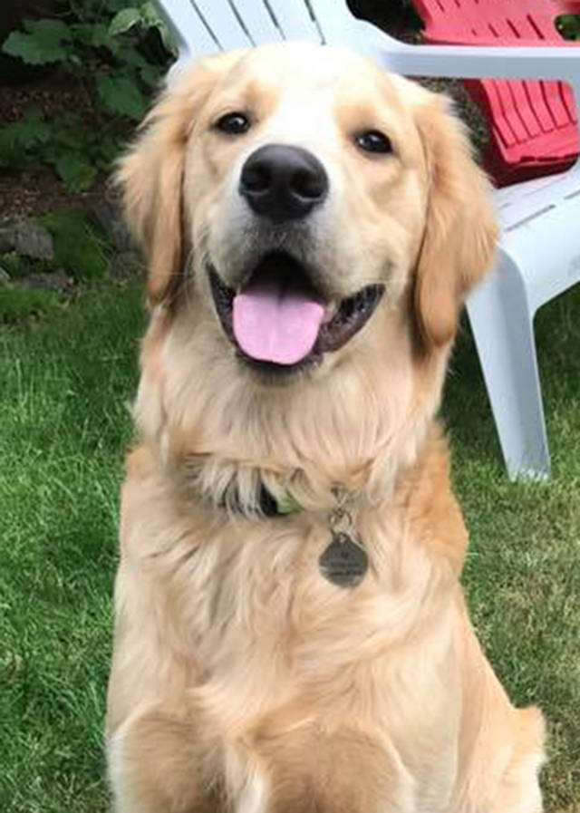 Help Kai return home