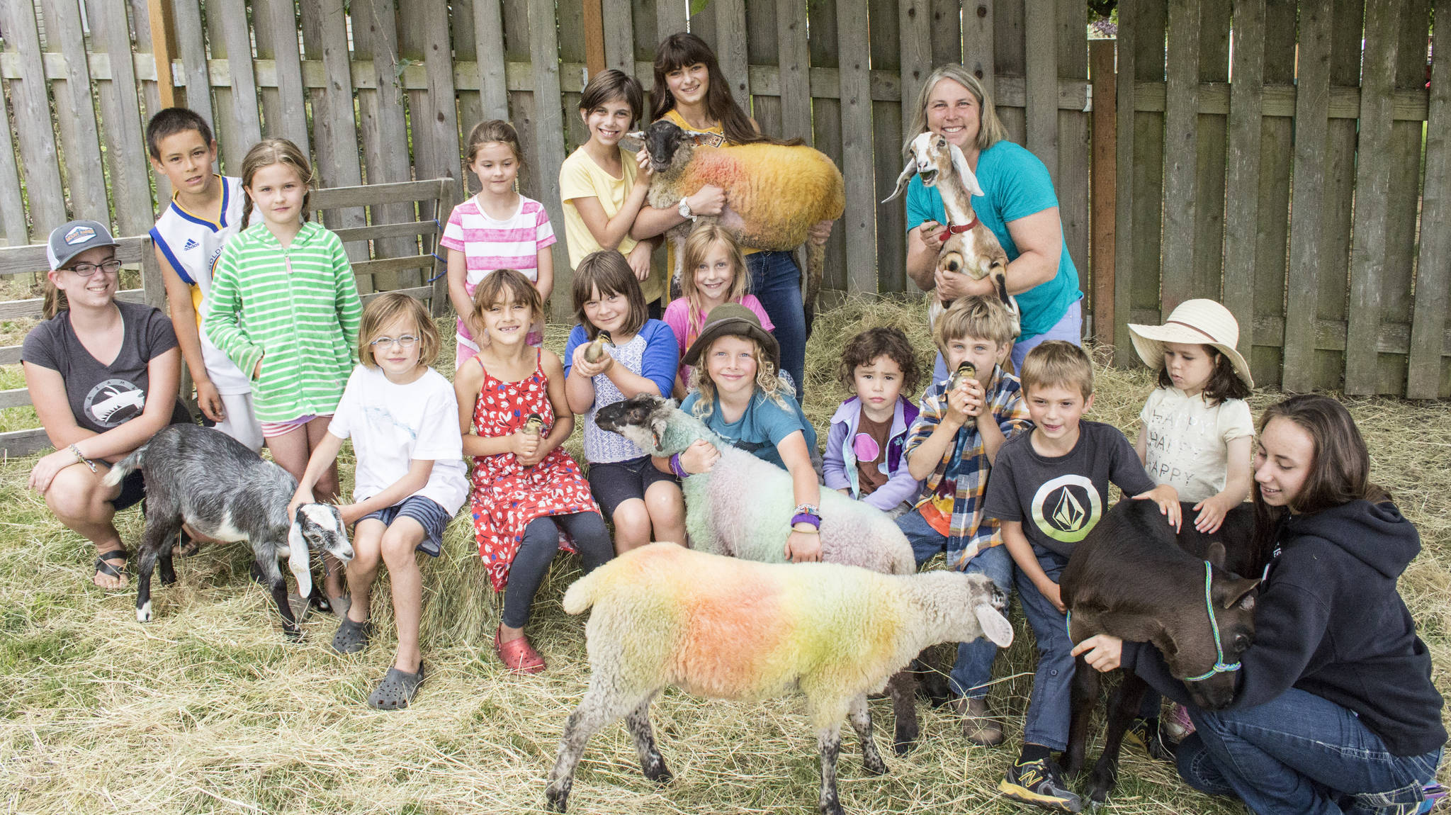Fun with farm animals | Week-long camp wraps up