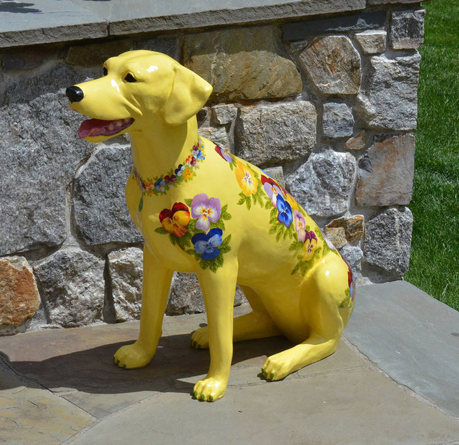 Pansy, by Paula Capitano.