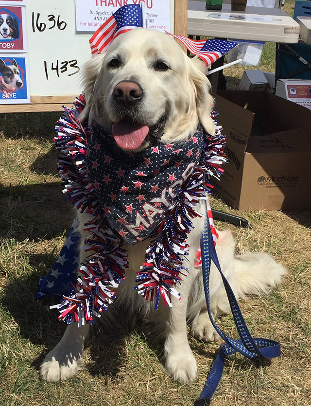 Hudson named mayor in record-breaking ‘election’