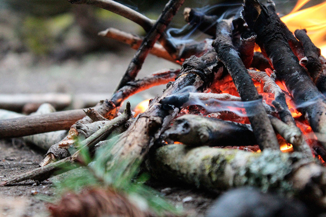 High fire danger leads to campfire restrictions in Northwest Washington