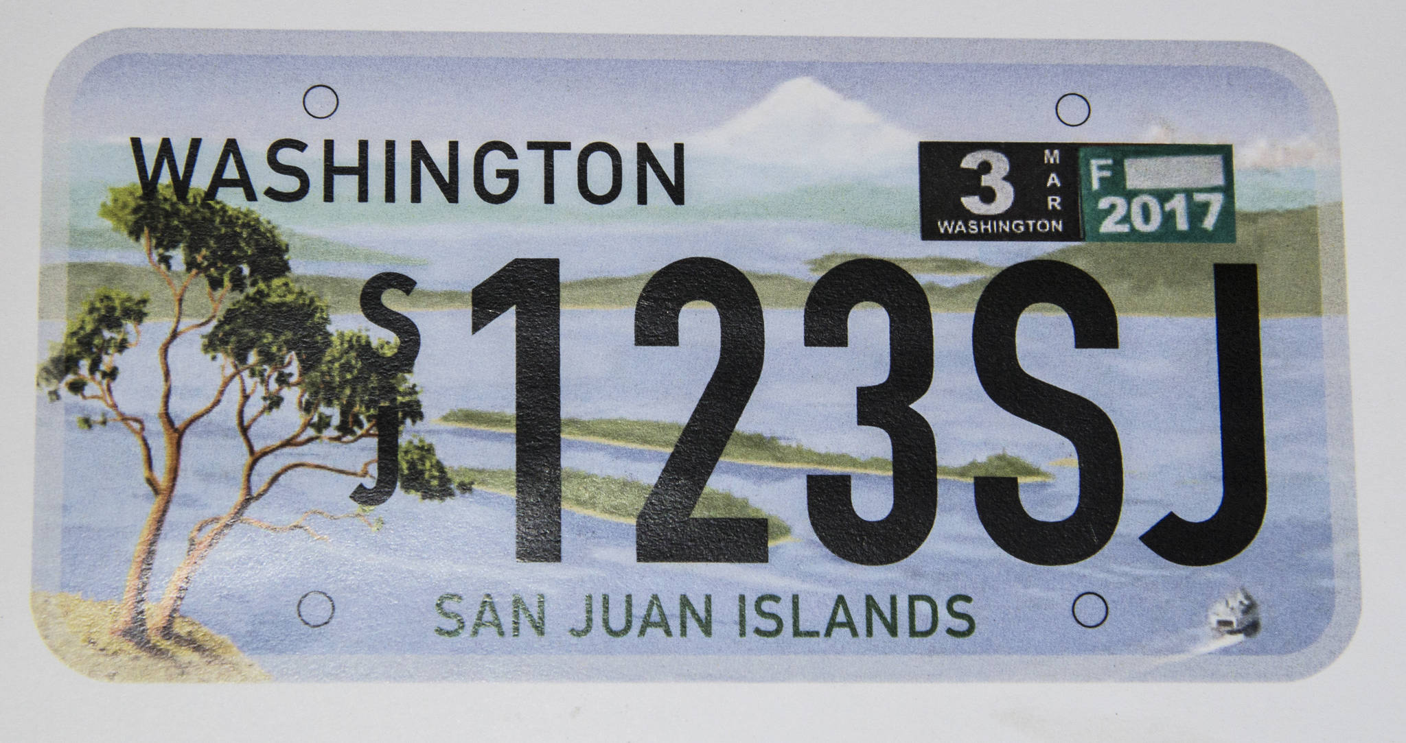Vote on custom license plate for San Juan County