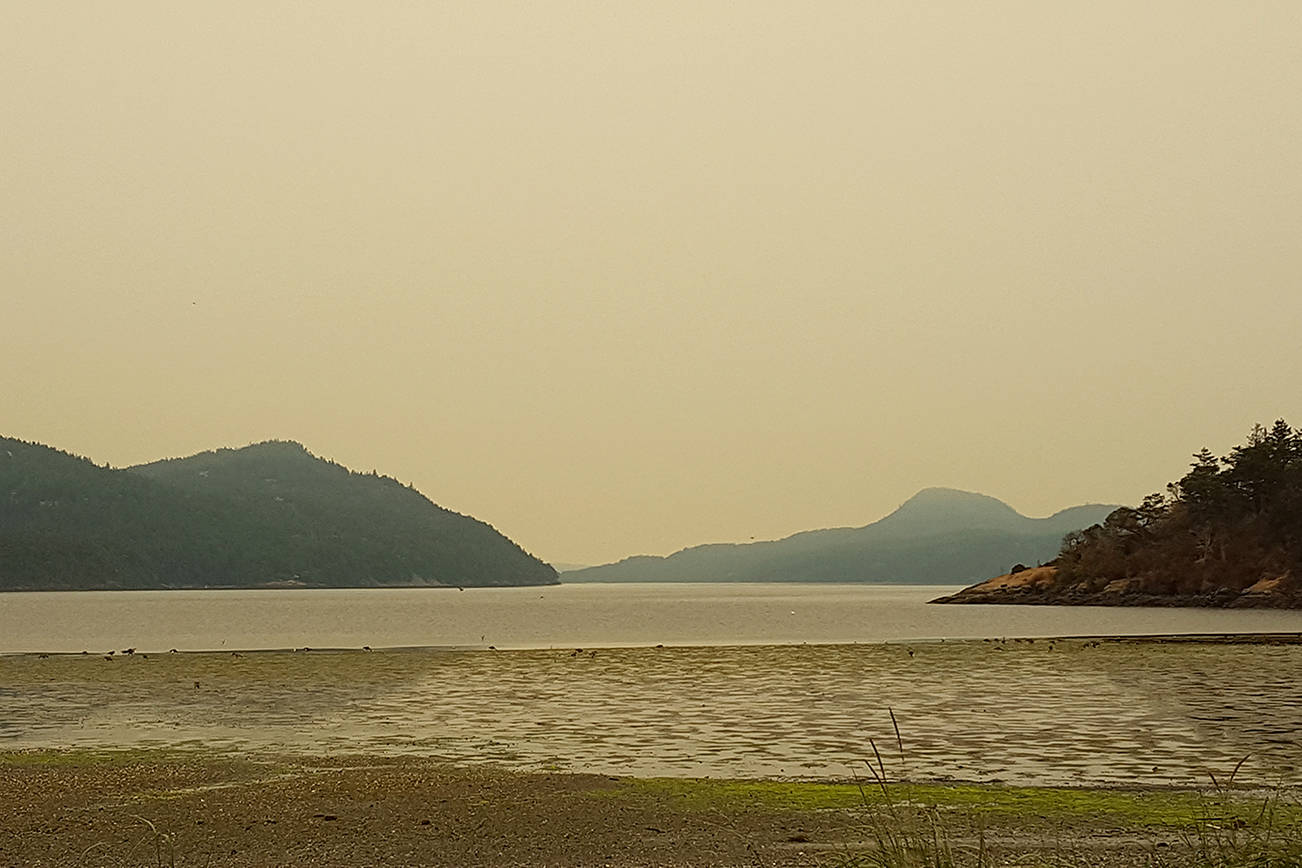 Protect yourself from wildfire smoke