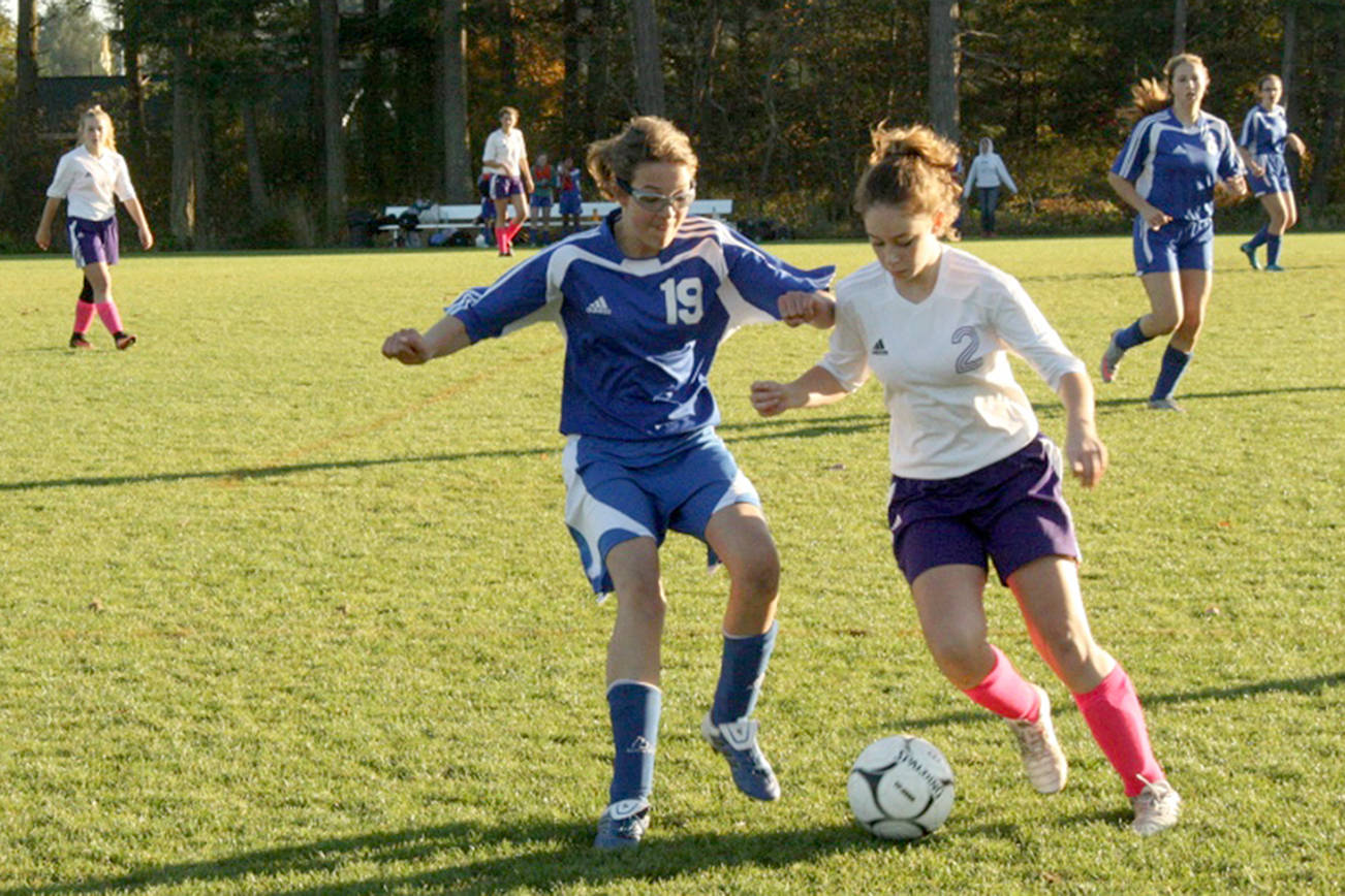Boys soccer team wins division title; girls season concludes