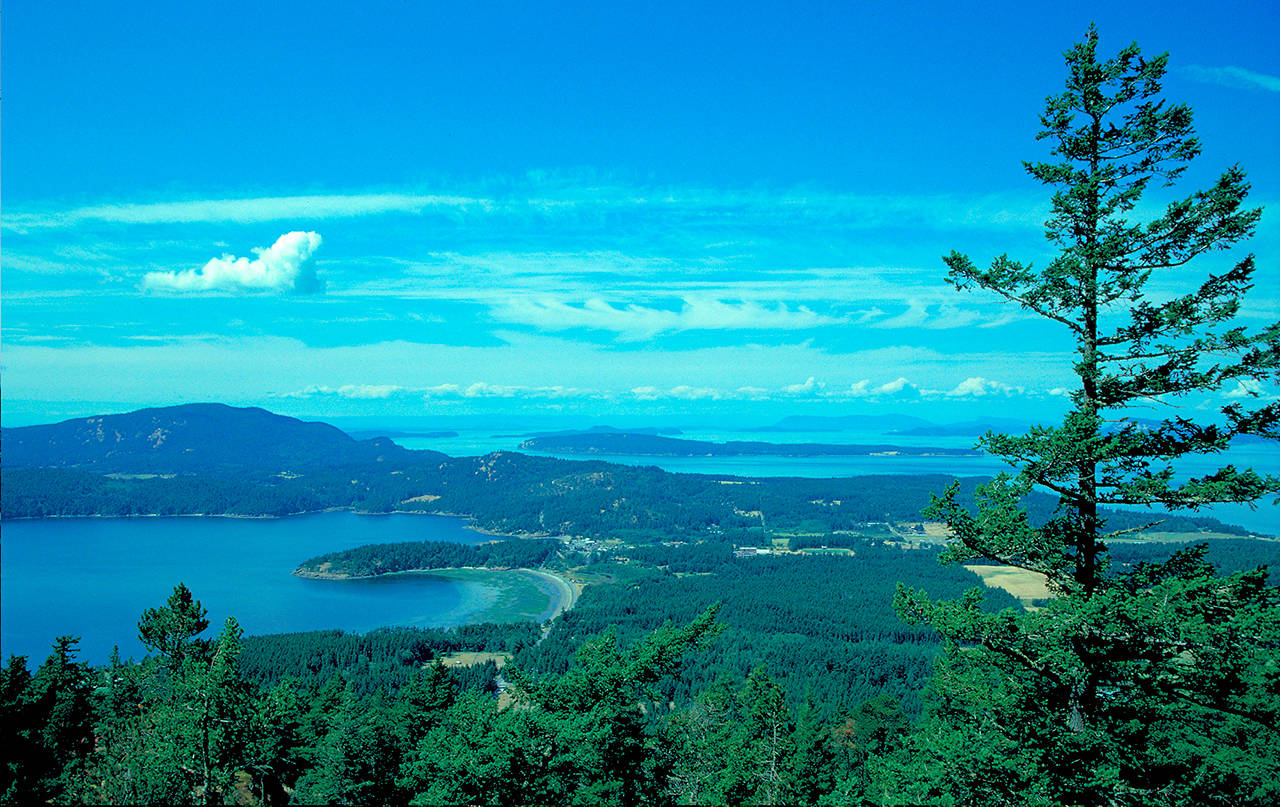 A Lummi vision for Madrona Point