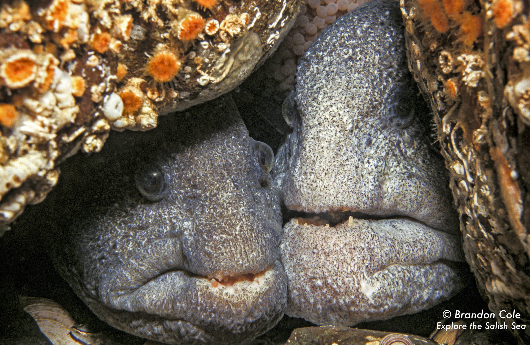 Protecting the environment one child at a time