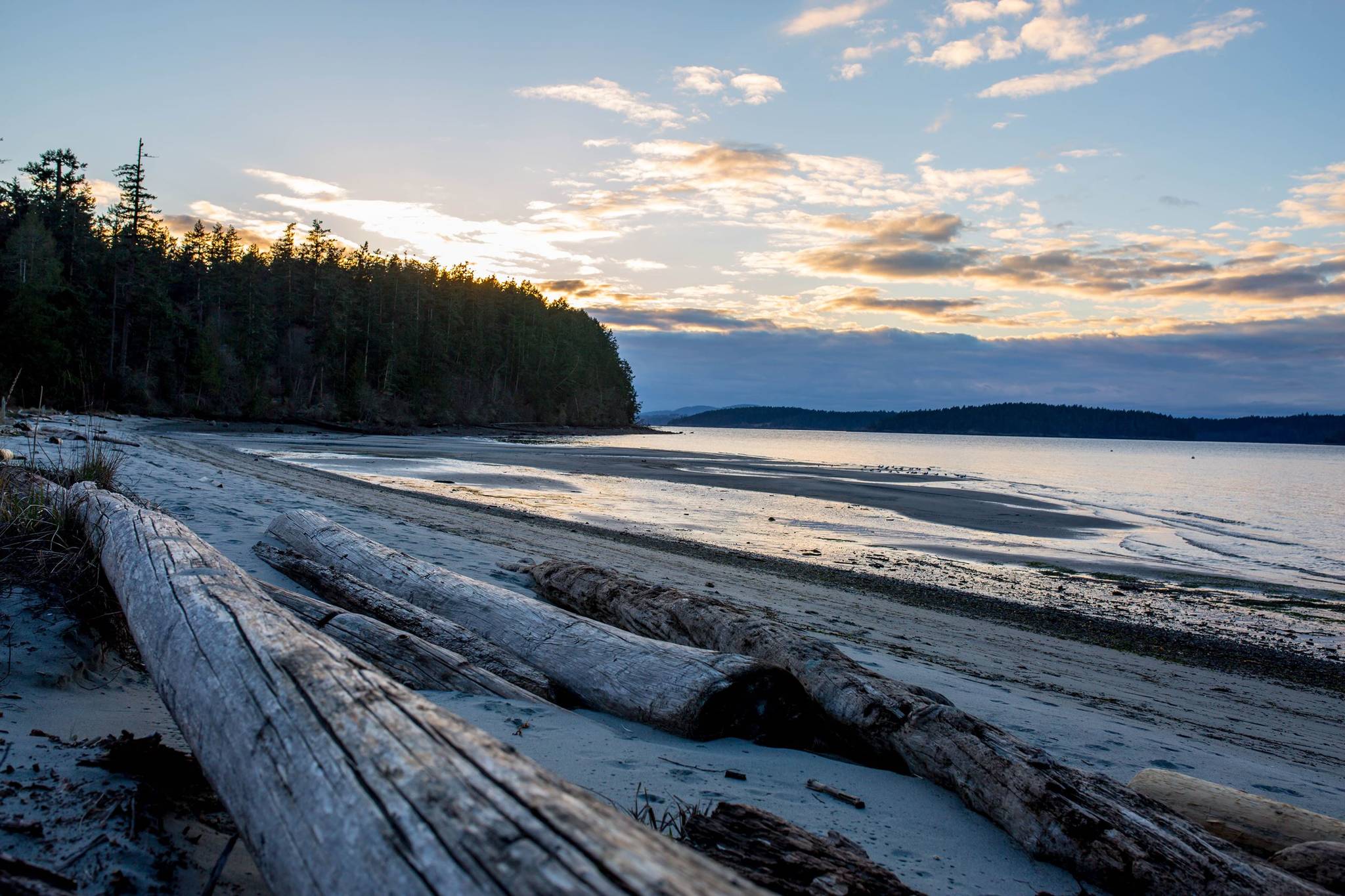 County seeks park host for Odlin on Lopez