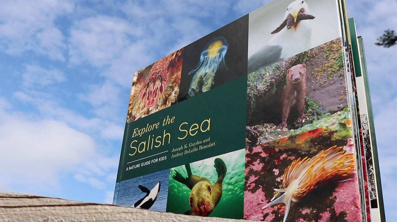 SeaDoc Society kids’ book launch Wednesday