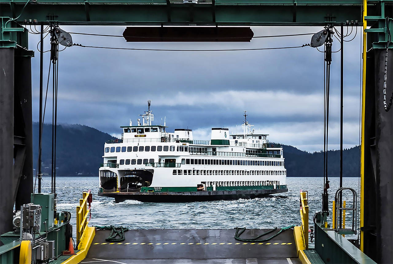 Karleena Pickering photo