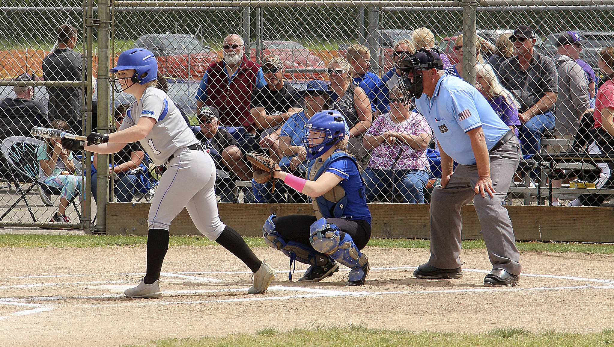 Lady Vikings softball heads to state Boys lose at state after winning