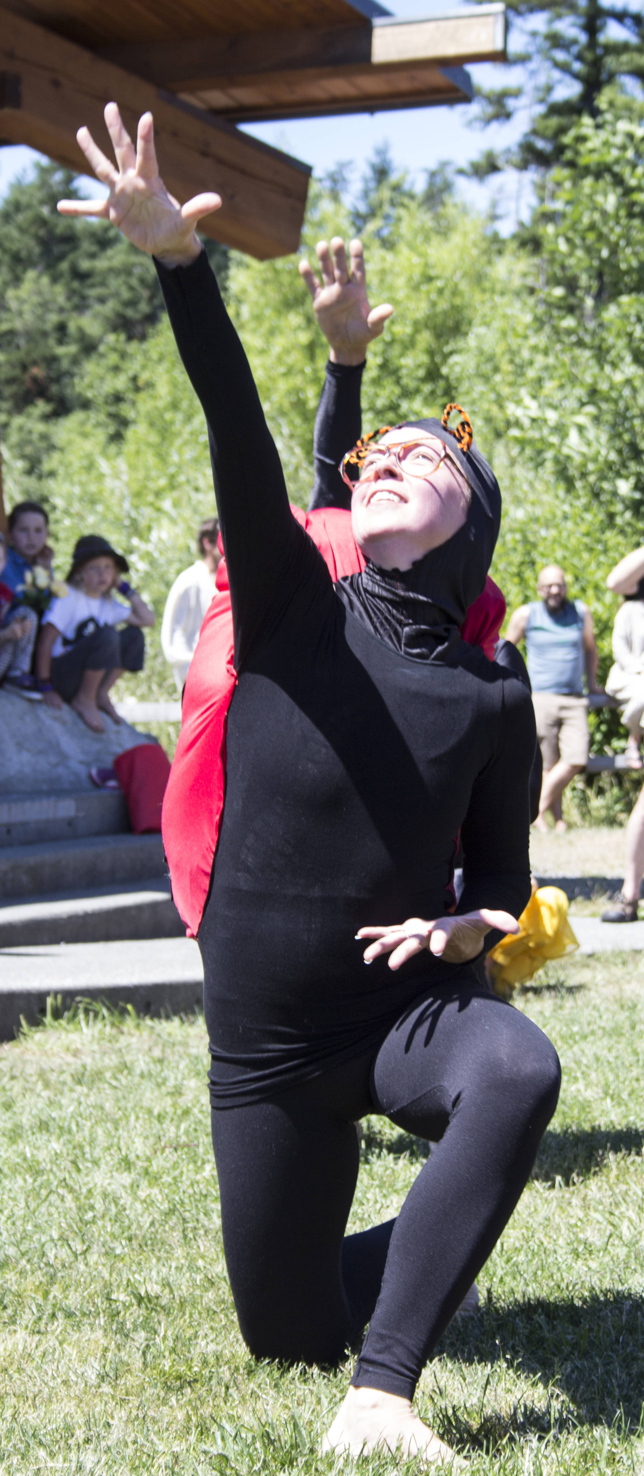 Solstice Parade celebrates 20 years