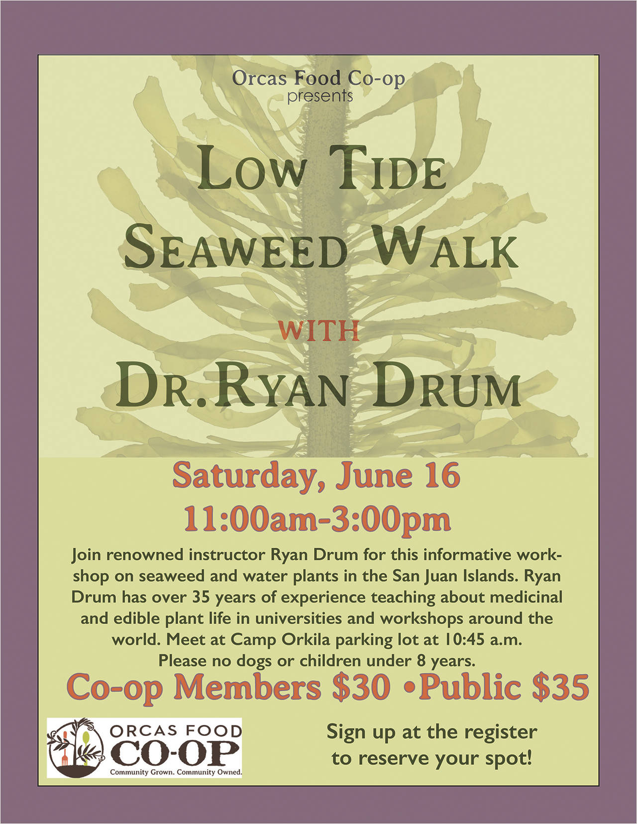 Low Tide Seaweed Walk with Ryan Drum