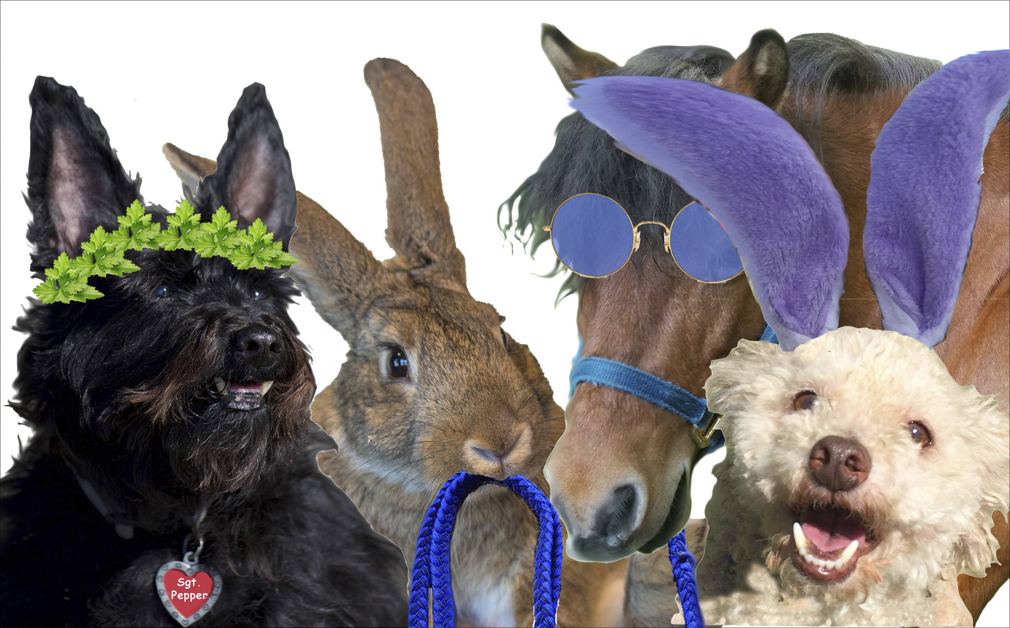 Political analysts size up the mayoral field