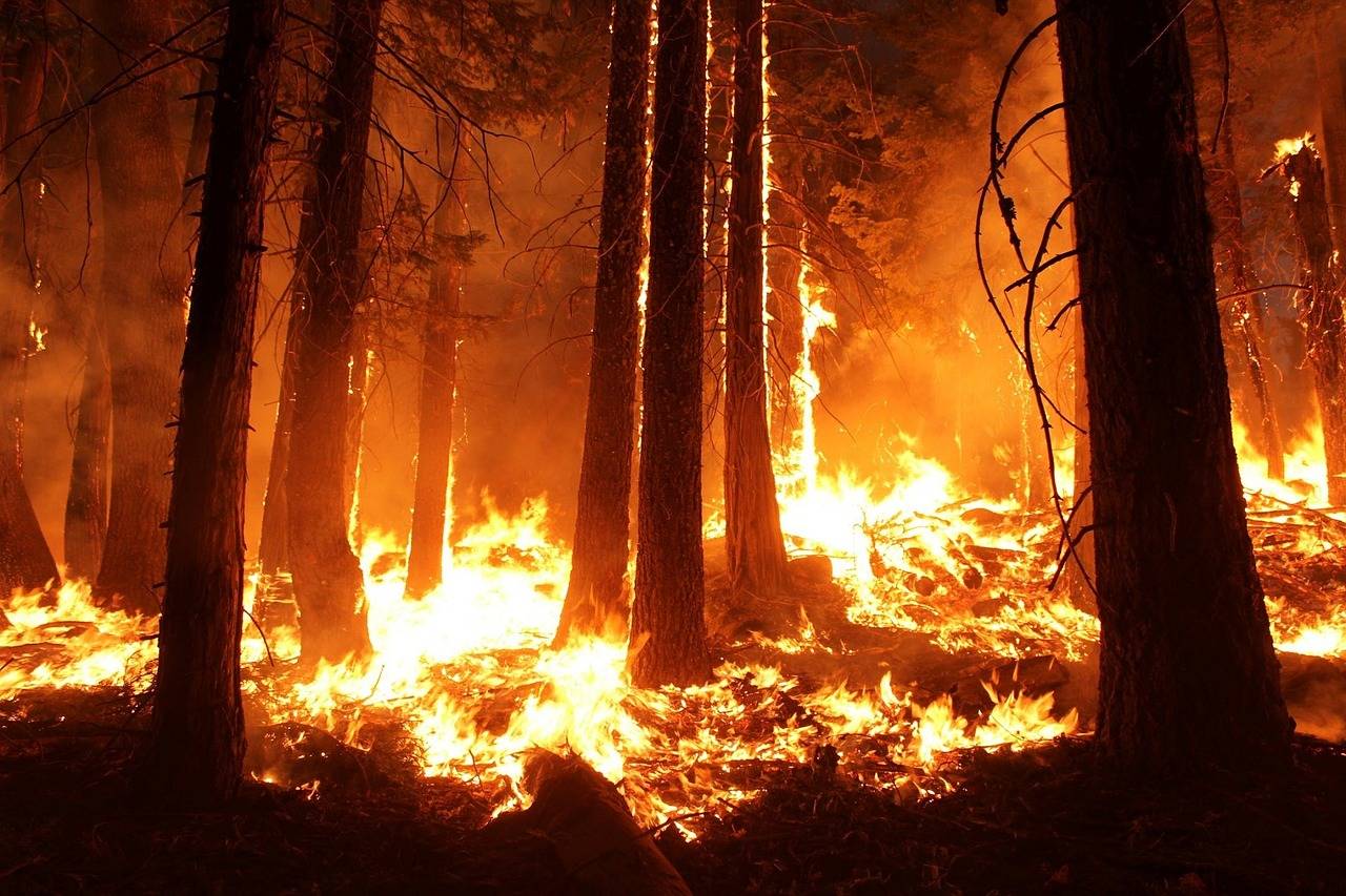 Are we ready for a wildfire?