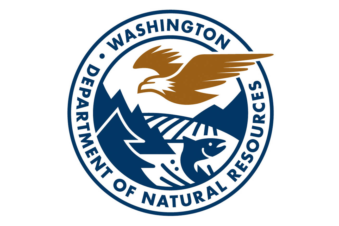 DNR bans outdoor burning statewide