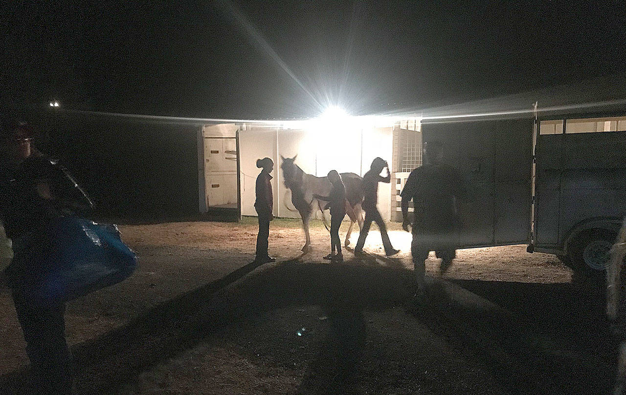 Angela Douglas photo                                Above: Some of the fair participants unloading their horses around midnight.