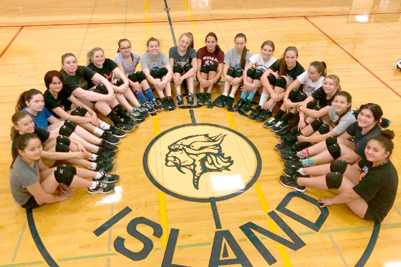 Vikings Volleyball ready for action