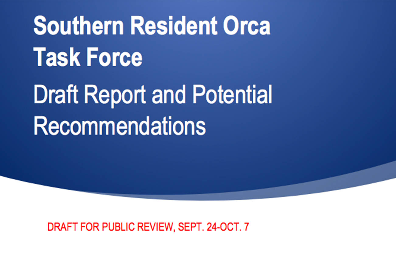 Draft report on potential actions to Recover southern resident orcas open for comment