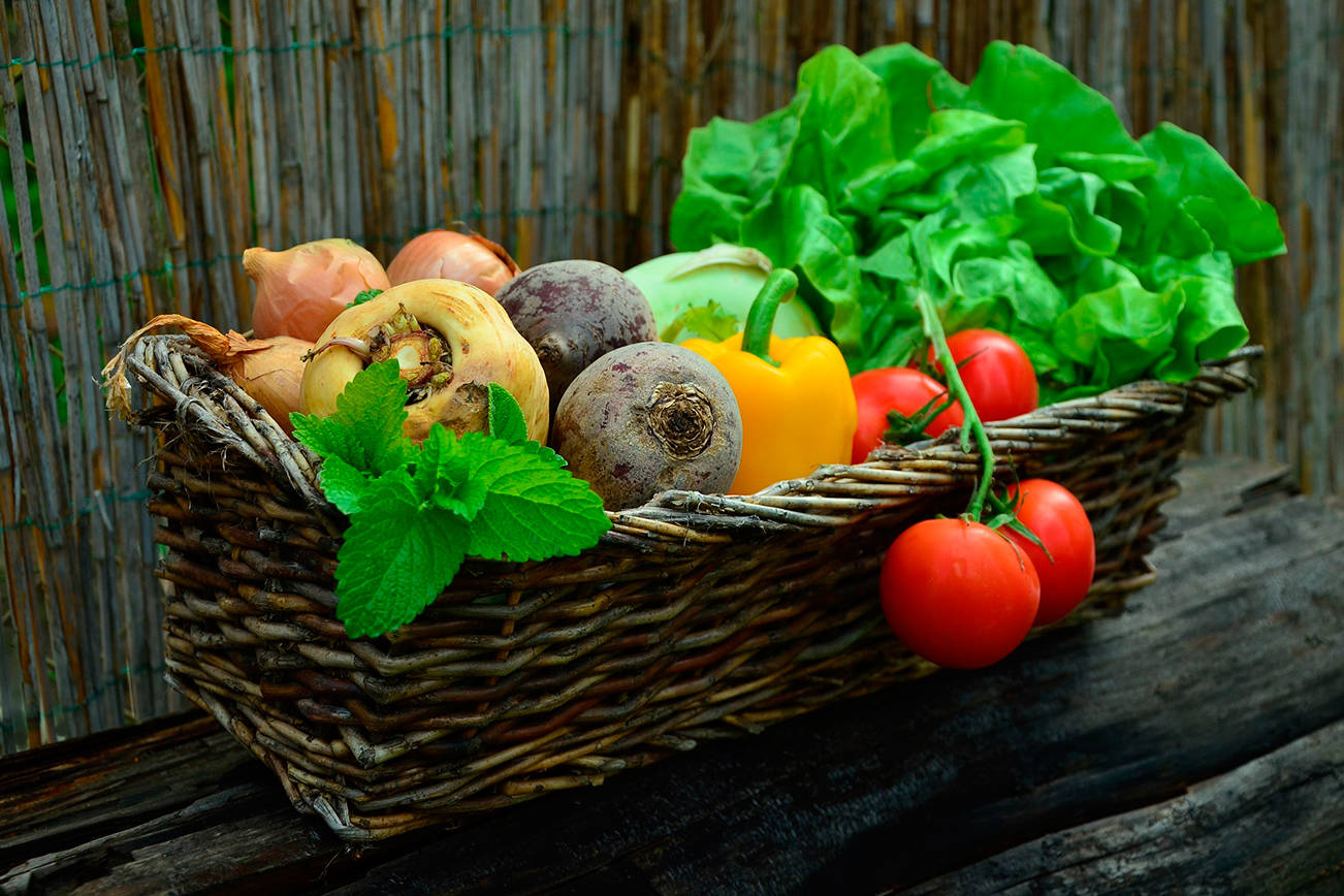 More than a dozen island farms open their gates to visitors