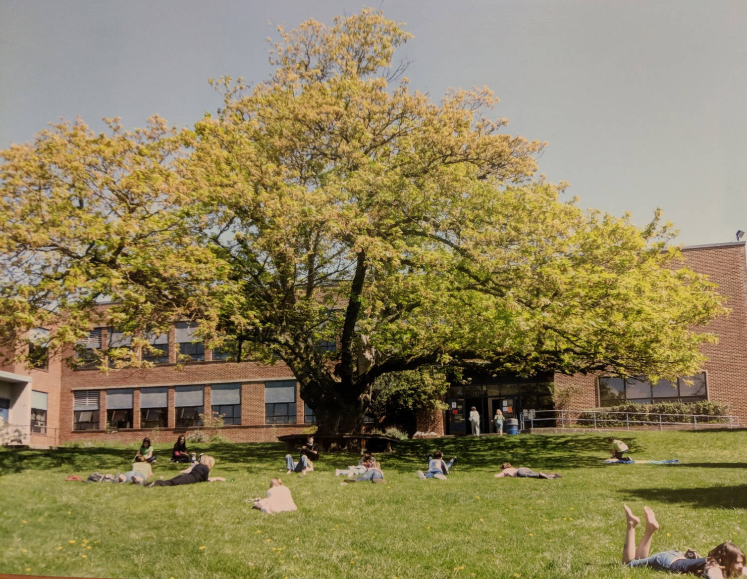 The fourth-grade class in 2007 reading under the tree.
