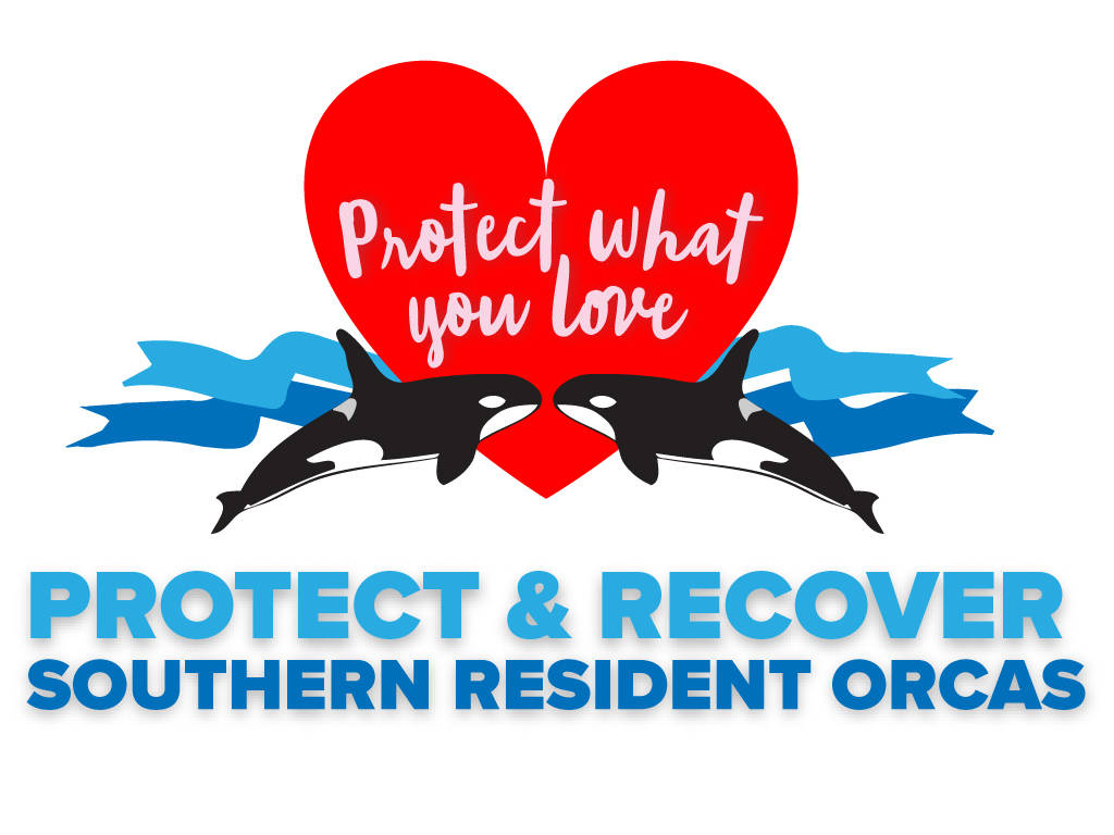 ‘Protect What You Love’ – Orca presentations
