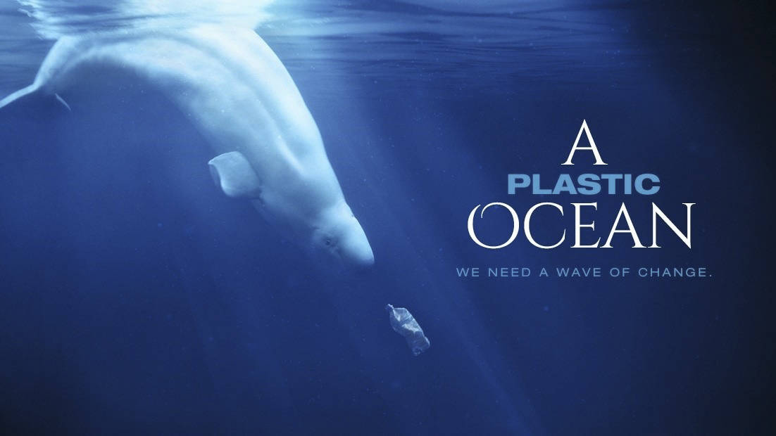 ‘A Plastic Ocean’ screening at Sea View