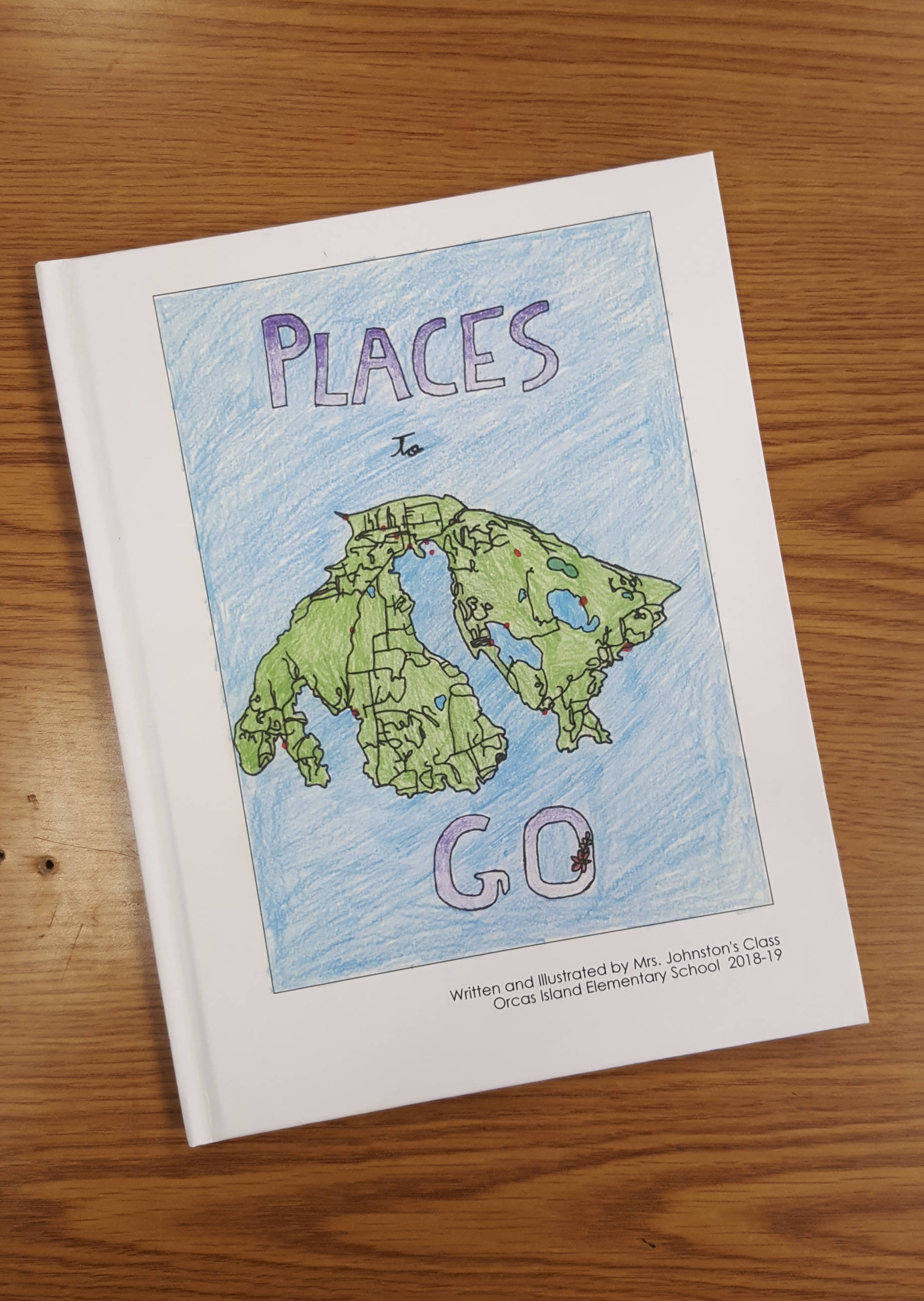Elementary students publish book
