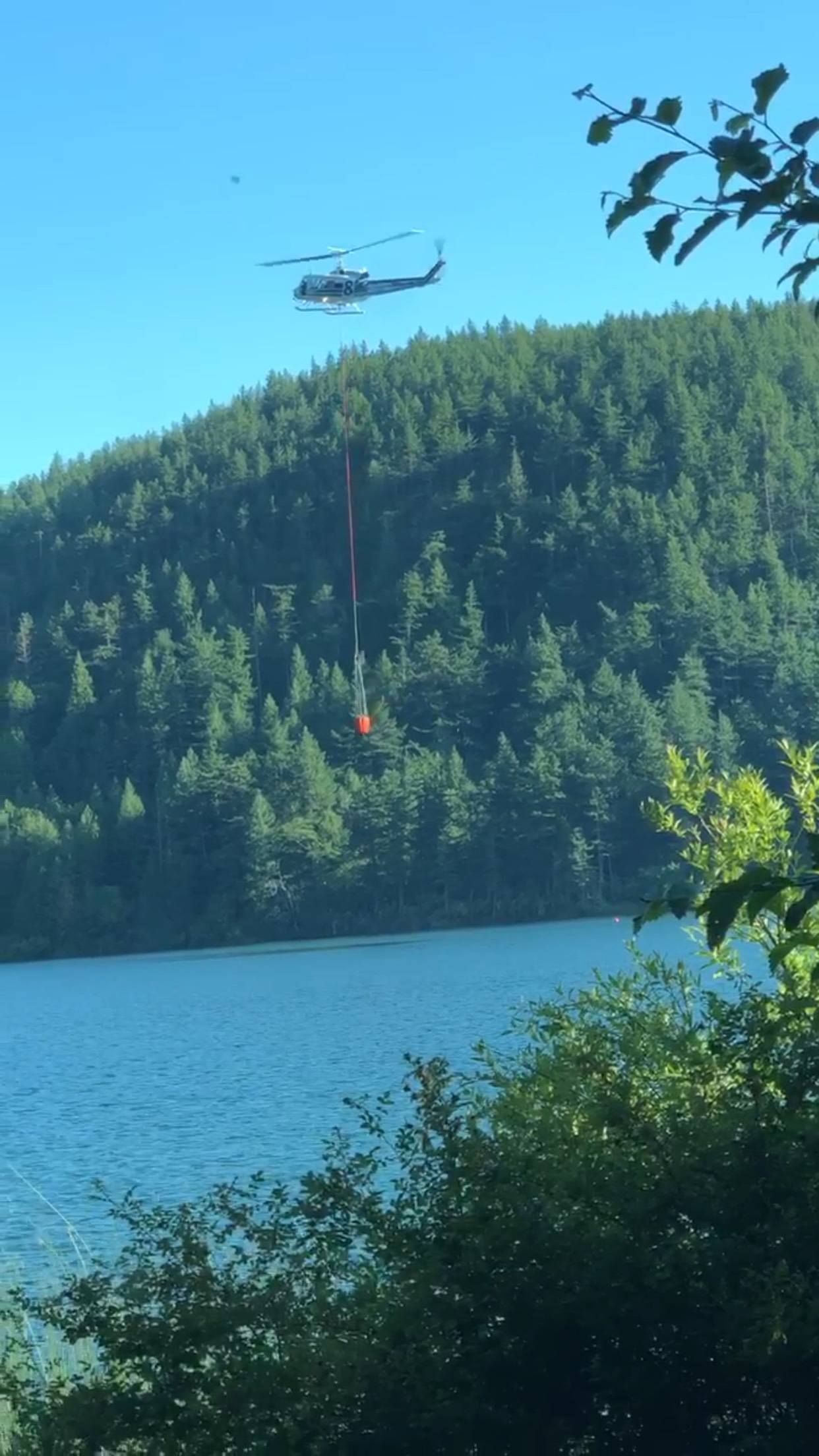 Wildfire in Moran State Park