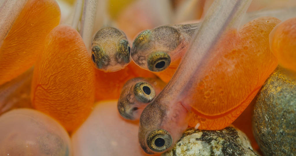 Florian Graner photo