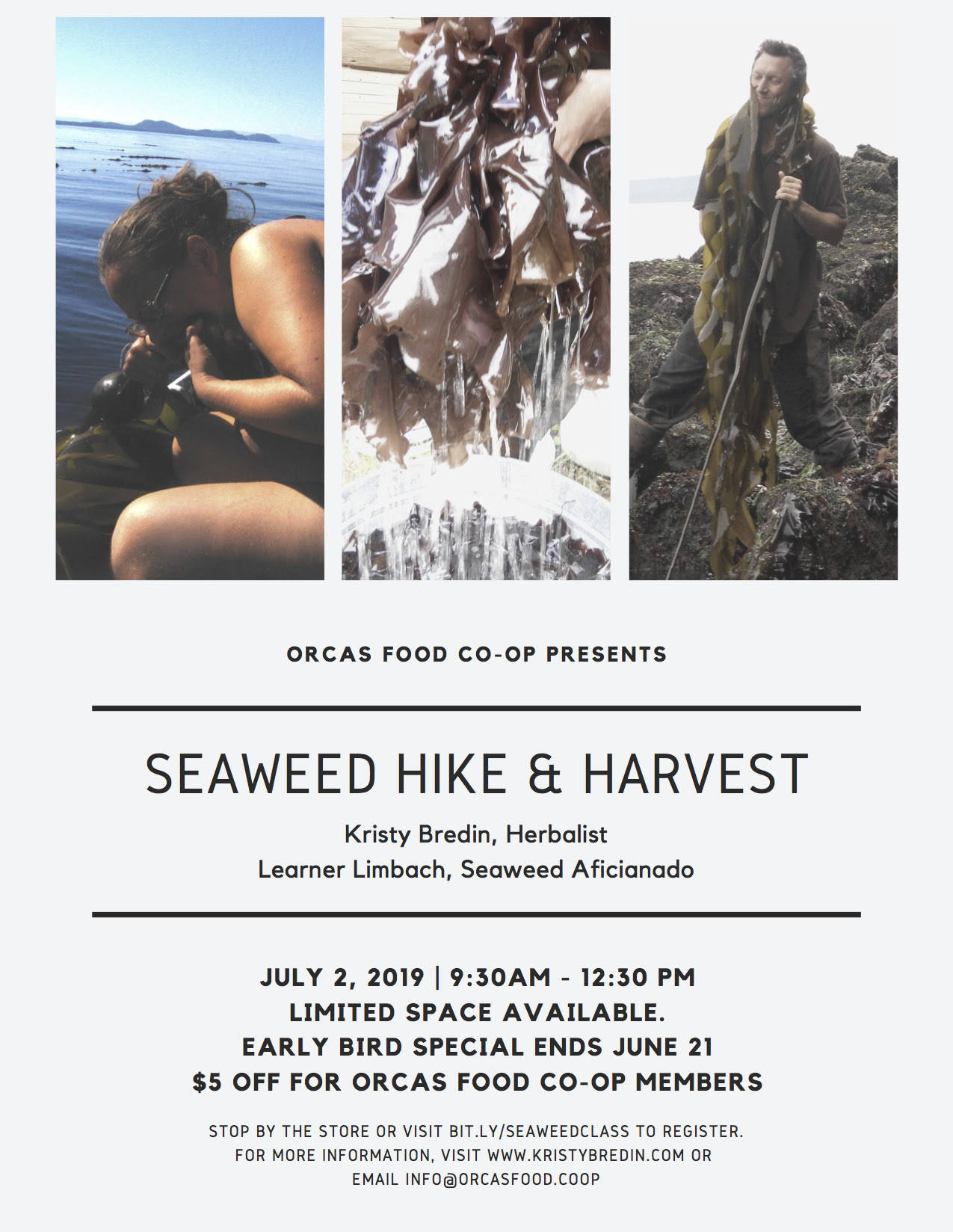 Seaweed Hike and Harvest