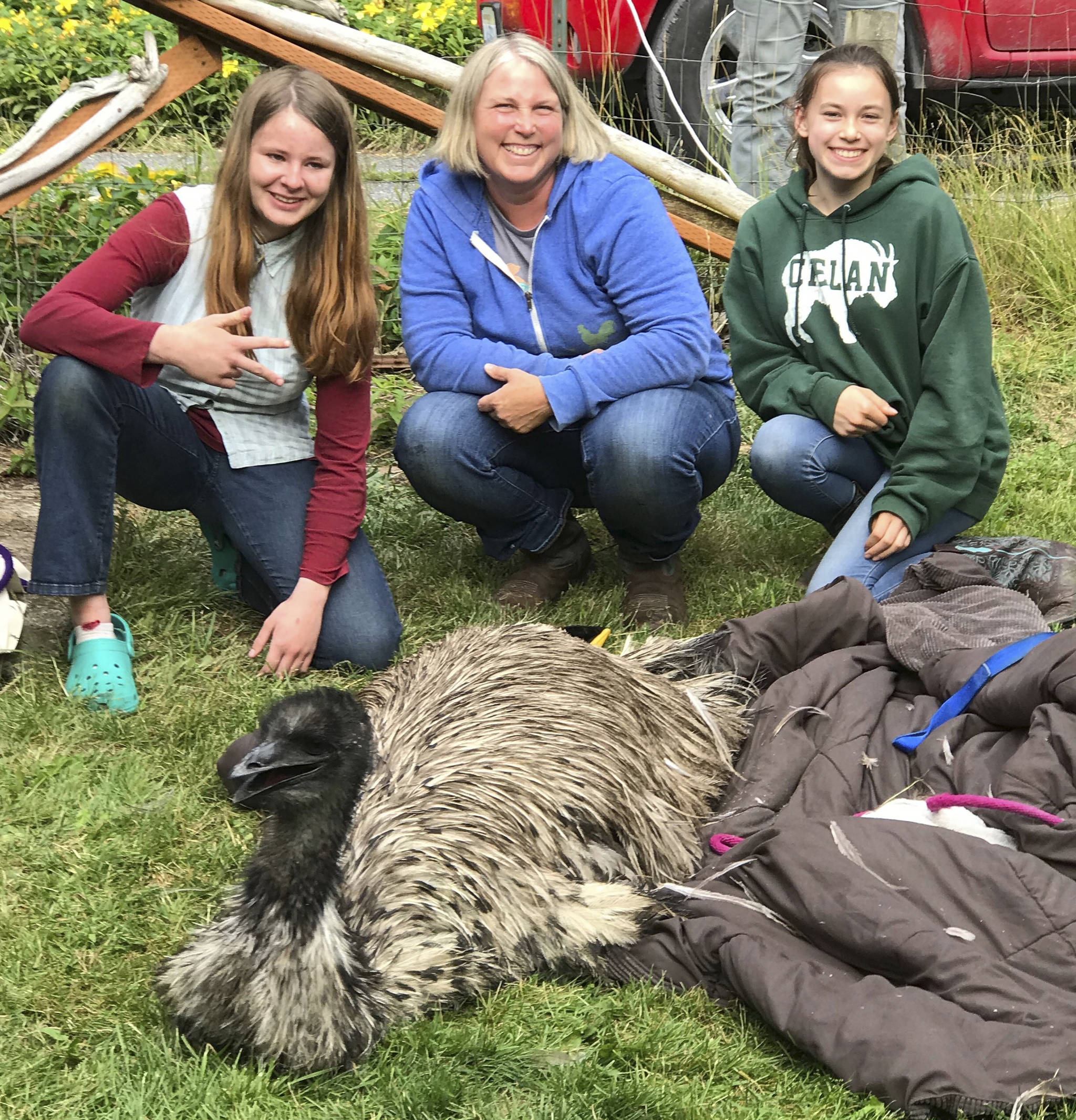 Emalyne Babcock, Amy Lum and Rachel Lum helped rescue Louise the emu on June 27.