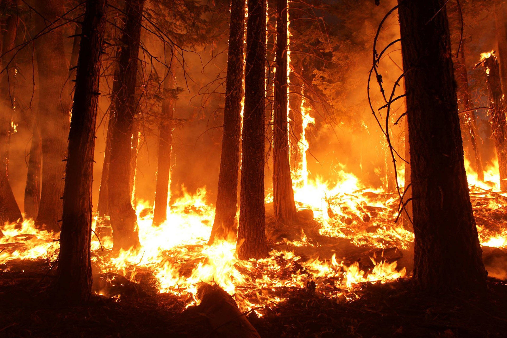 County’s plan for wildfire protection