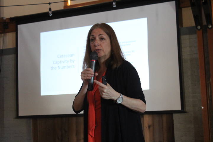 Whale sanctuary project reveals two possible locations