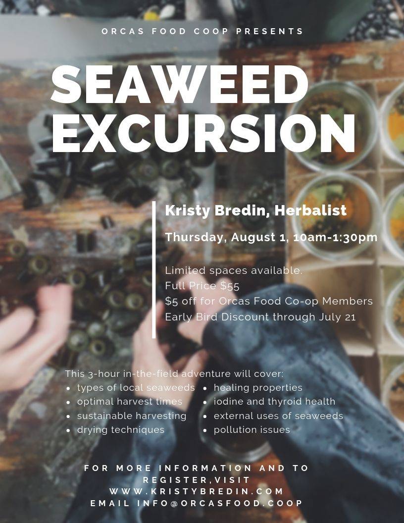 Seaweed Excursion – back by popular demand!