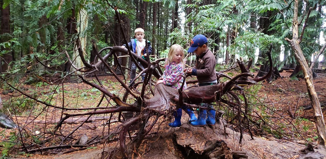Kaleidoscope to offer full-time Forest School