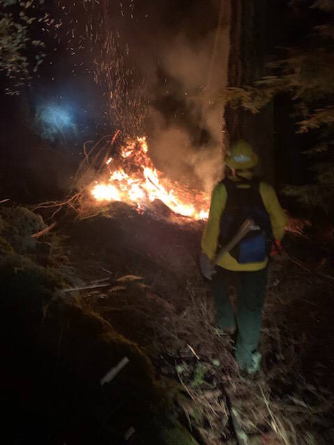 Contributed Photo                                Orcas Island Fire and Rescue was able to contain the blaze using wildland hand tools