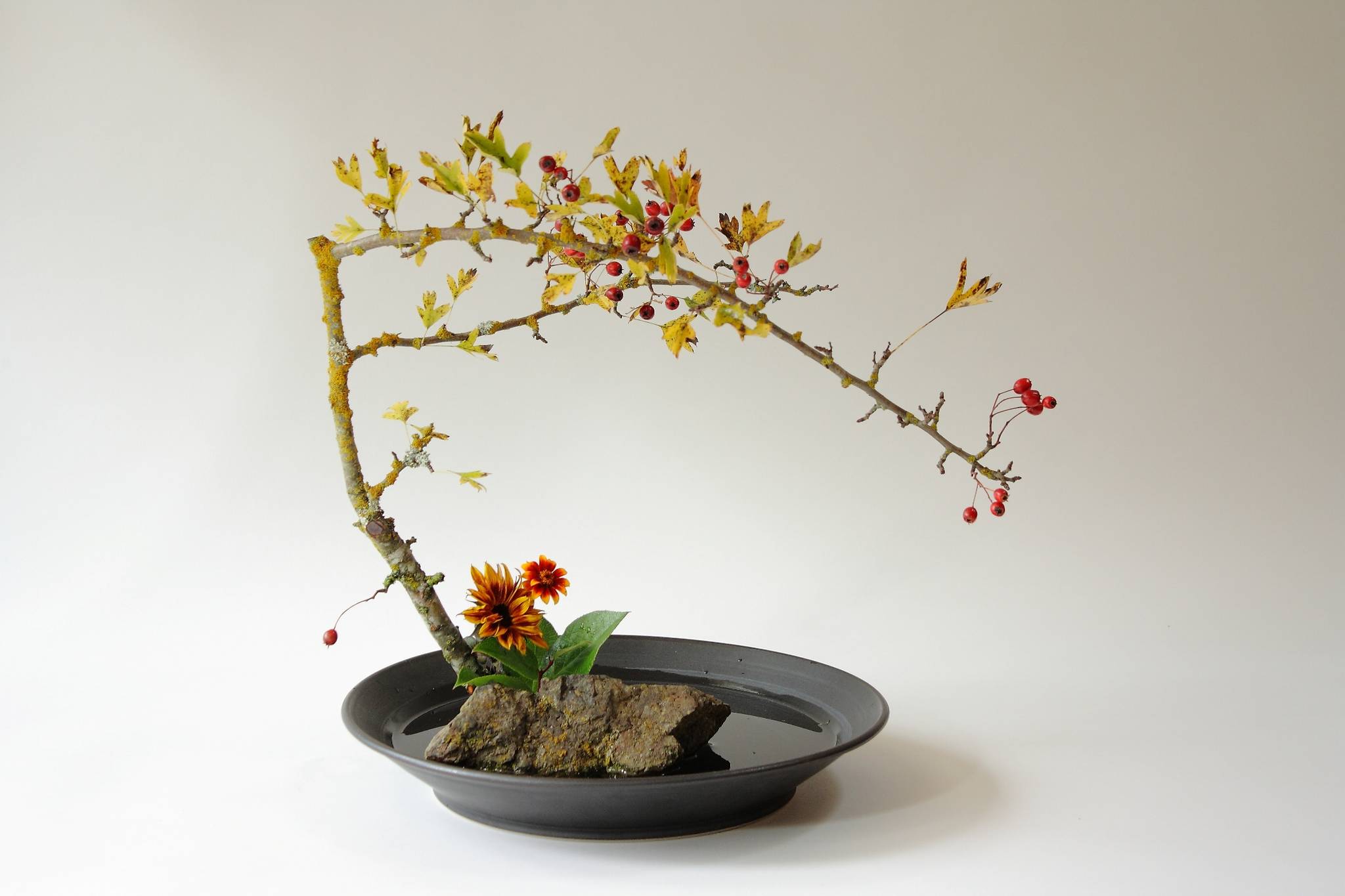 Sunflowers with Hawthorne/Contributed photo.