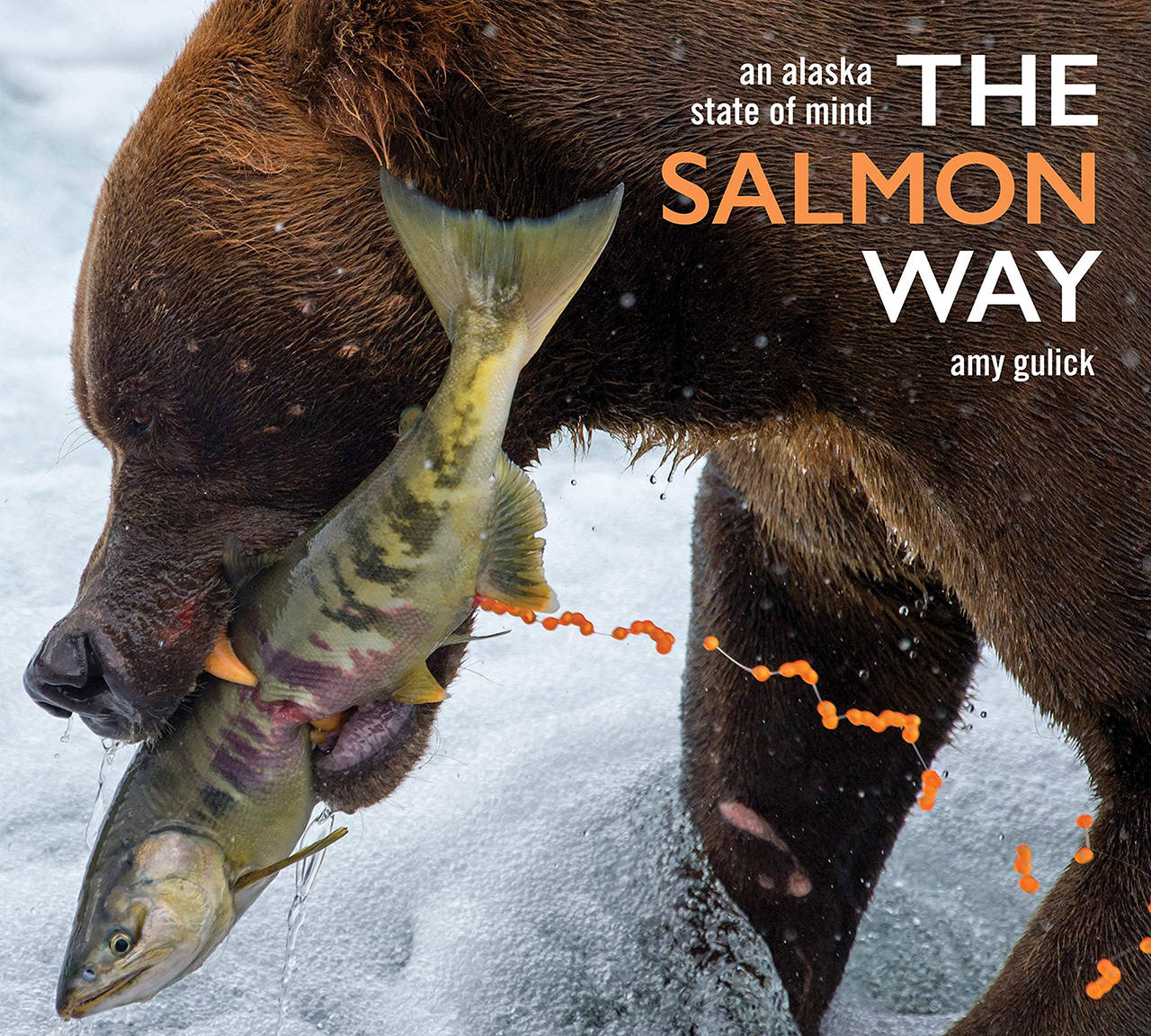 SeaDoc Society presents Ocean Night ‘The Salmon Way’
