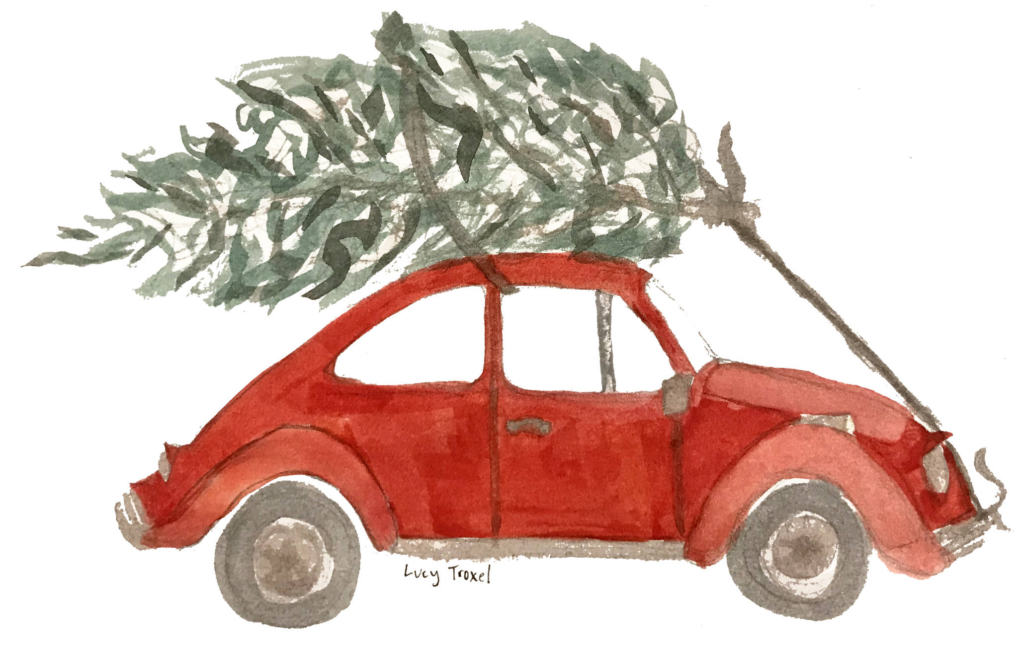 Christmas Tree Sale and Winter Festival