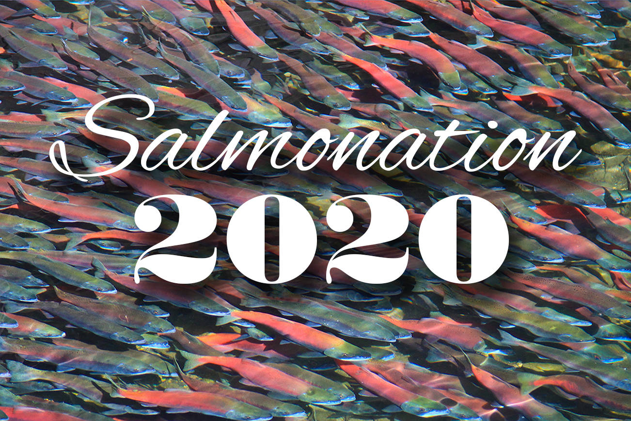 Climate change and the future of salmon