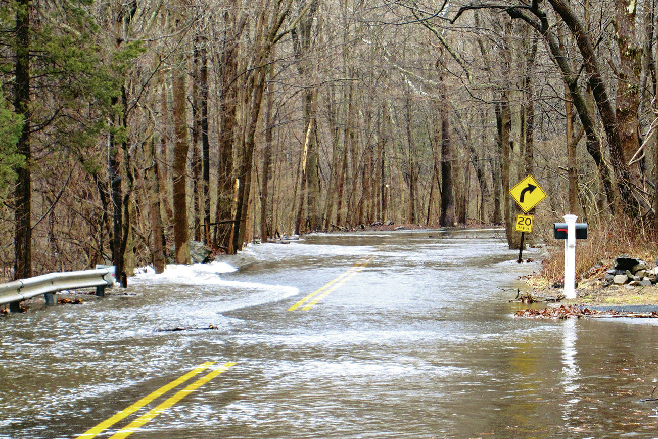 Business disaster training