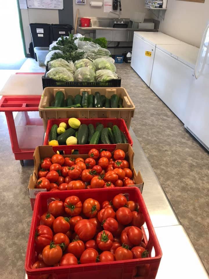 Fresh produce at the foodbank. (Contributed photo.)
