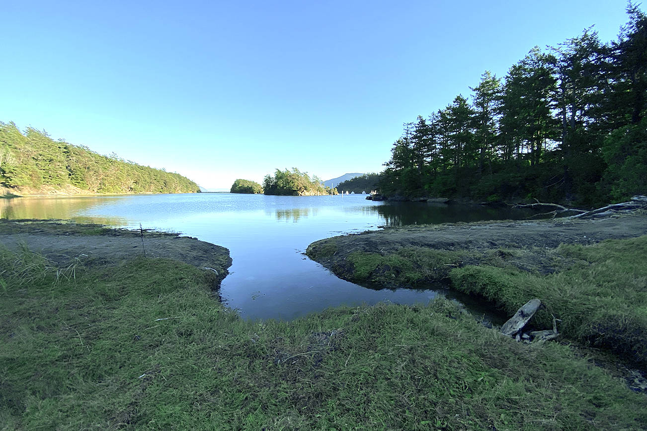 Salmon habitat restored on Sucia Island