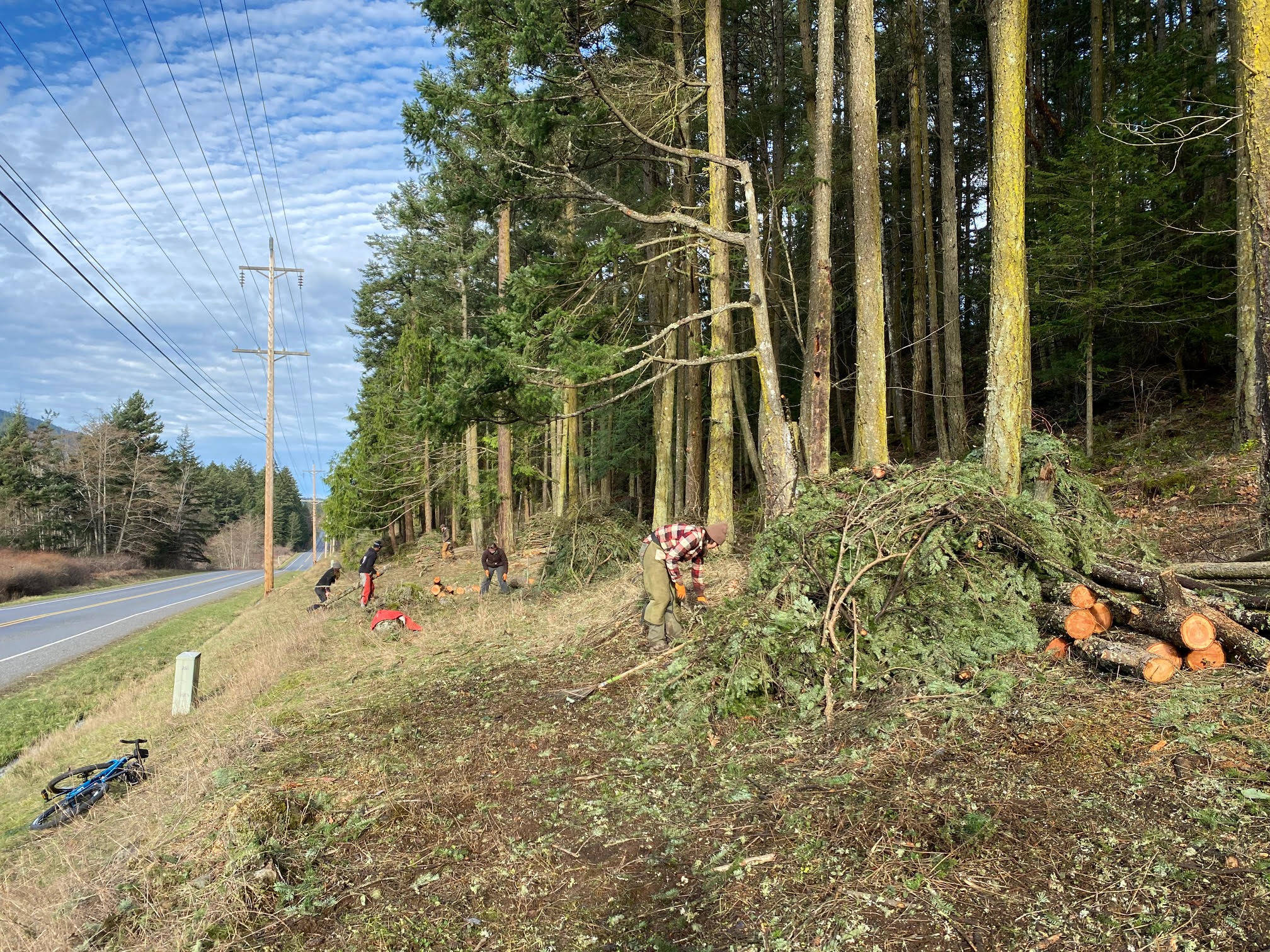 Neatly stacked brush piles line Orcas Road along Barb and Sam Pesola's property awaiting burning. 
 (Contributed photo)