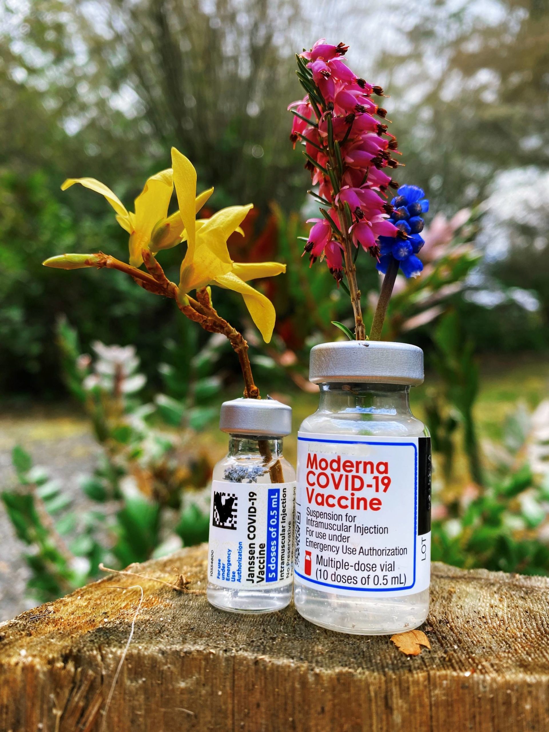 Contributed photo
The COVID-19 vaccine gets a little decoration.