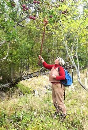 Madrona Murphy - OCS Meeting of the Minds.