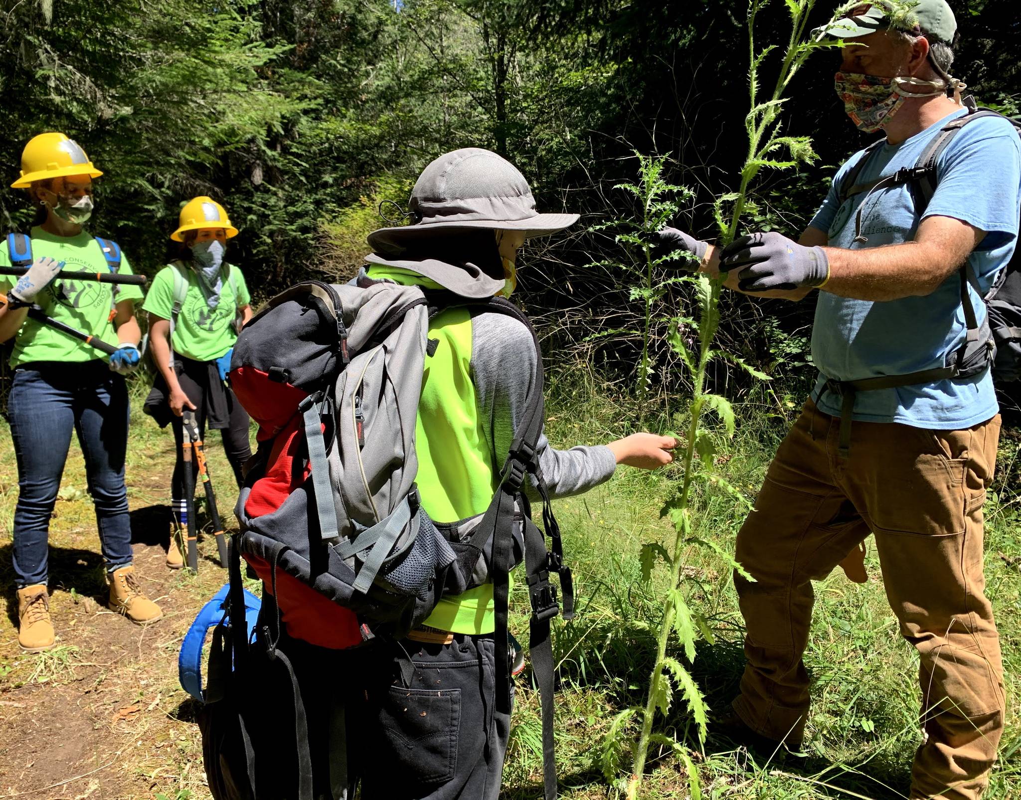 Contributed photo
The Youth Conservation Corps in action.