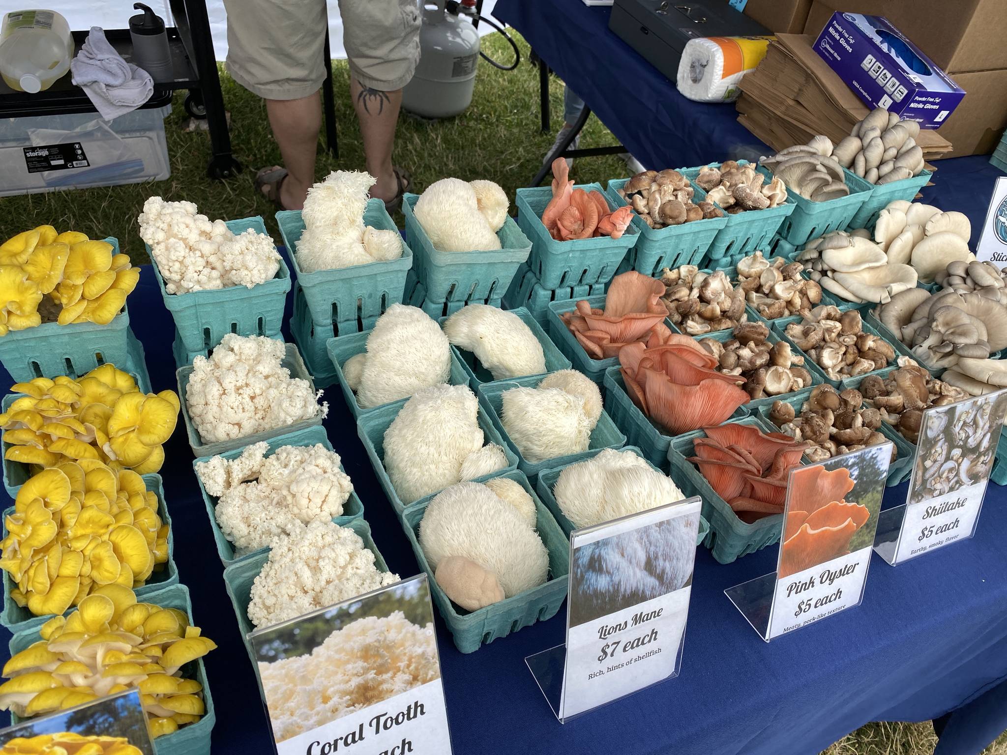 SNAP/EBT comes to the Orcas Farmers’ Market Islands' Sounder