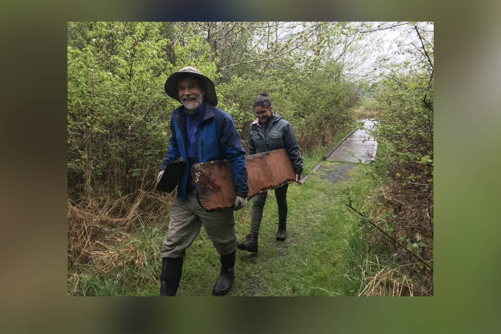 A San Juan County Land Bank team tackled Lopezs Weeks Wetland Preserve for the Great Islands Cleanup and removed over 400 pounds (!!) of wood debris: plywood, pressure-treated lumber and creosote. Larger creosote was tagged for removal by DNR crews. Small plastics were also collected. (Contributed photo)
