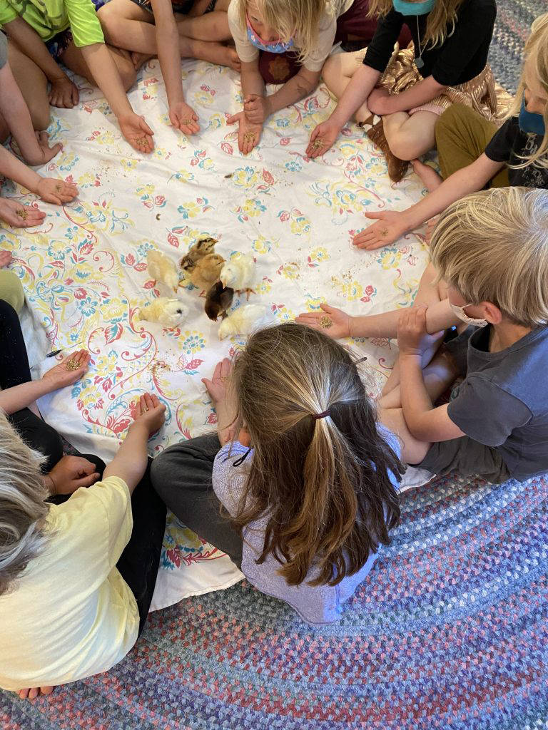 Contributed photo
Salmonberry School has been educating with heads, hearts and hands since 2001.